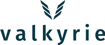 Valkyrie logo
